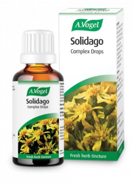 A.Vogel για το Ουροποιητικό Σύστημα Nephrosolid (Solidago) Φυτικό Συμπλήρωμα Διατροφής 50ml