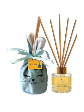 Messinian Spa Reed Diffuser Ginger-Lemon Αρωματικό Χώρου με Stick Διάχυσης 100ml