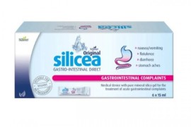 Hubner Silicea Gastrointestinal Gel DIRECT 6x15ml
