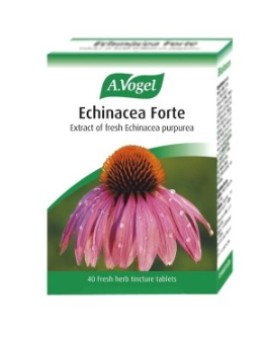 A.Vogel Echinaforce Forte για την Ενίσχυση του Ανοσοποιητικού Συστήματος Φυτικό Συμπλήρωμα 40 Ταμπλέτες