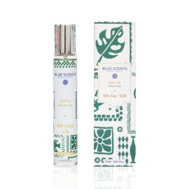 Blue Scents Eau De Parfum Divine XII Ανδρικό Αρωμα 25ml