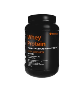 WellLife Whey Protein Σοκολάτα Πρωτεΐνη Ορού Γάλακτος Χωρίς Γλουτένη 810gr